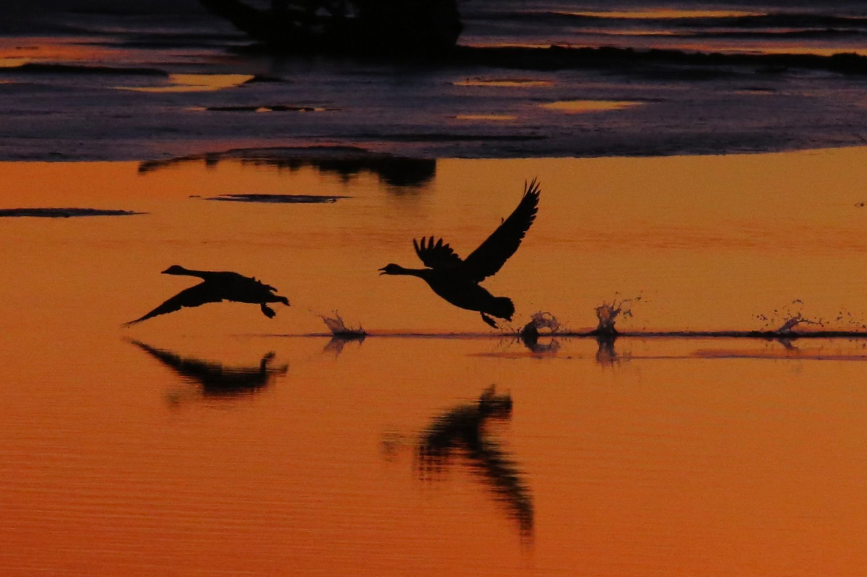 A great February day for bird watching